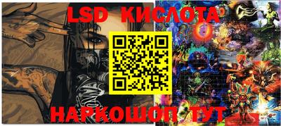 дмт Донской