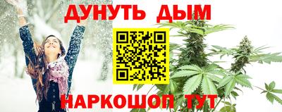 дмт Донской
